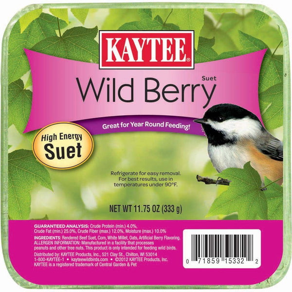 Kaytee Wild Berry High Energy Mini Suet 1ea/11.75 oz