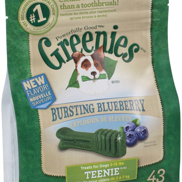 Greenies Dog Dental Treats Teenie Blueberry 1ea/12 oz, 43 ct