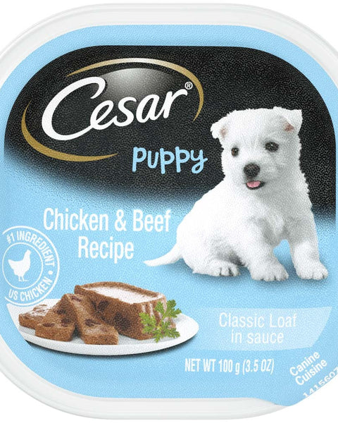 Cesar Classic Loaf in Sauce Puppy Wet Dog Food Chicken & Beef 3.5oz. (Case of 24)