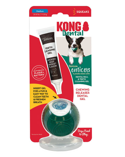 KONG Dental Ball w/Tropiclean Enticer Teeth Cleaning Gel Honey Chicken 1ea/MD, 1 oz