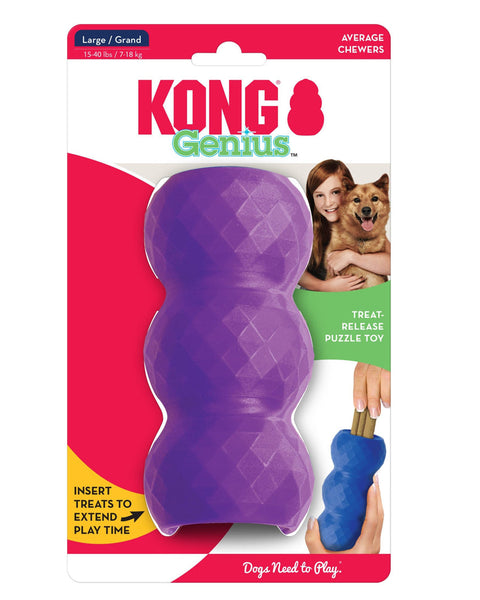 KONG Genius Mike Dog Toy Assorted 1ea/LG