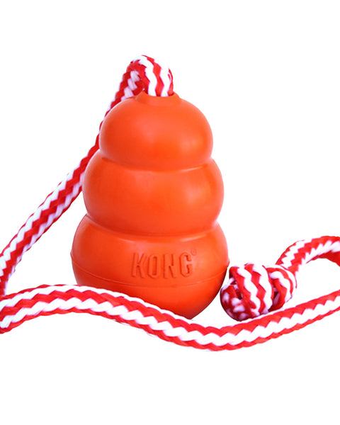 KONG Aqua Dog Toy 1ea/LG