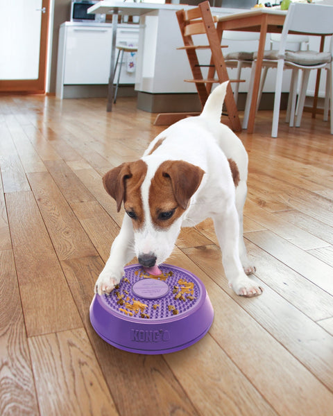 KONG Licks Spinz Treat Dispenser 1ea/SM