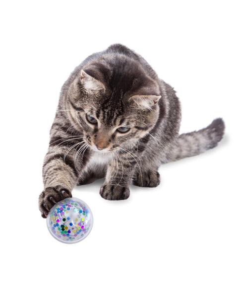 KONG Active Confetti Ball Cat Toy One Size  (2 pack)