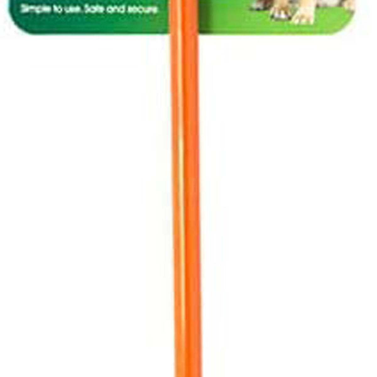 Four Paws Walk-About Dog Tie Out Stake Orange 1ea/28 in