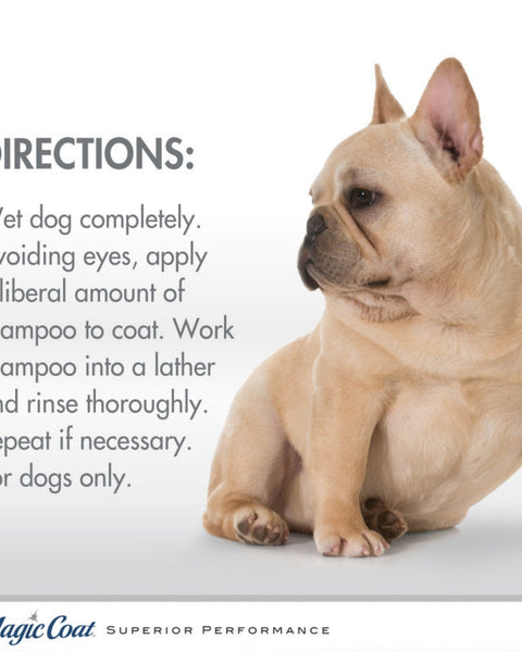 Four Paws Magic Coat Hypo-Allergenic Dog Shampoo Hypoallergenic Shampoo, 1ea/16oz.