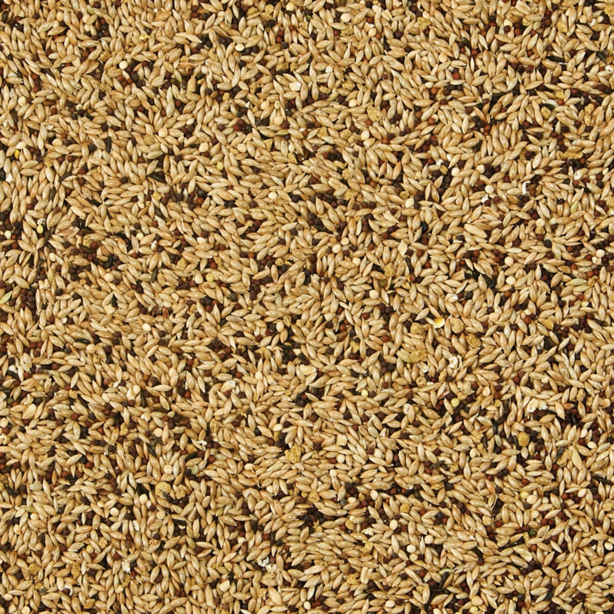 Kaytee Supreme Canary & Finch Food 1ea/20 lb