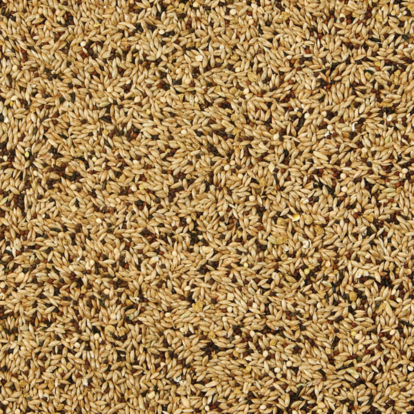 Kaytee Supreme Canary & Finch Food 1ea/20 lb