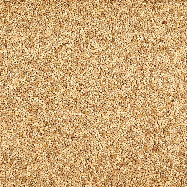 Kaytee Supreme Parakeet Food 1ea/20 lb