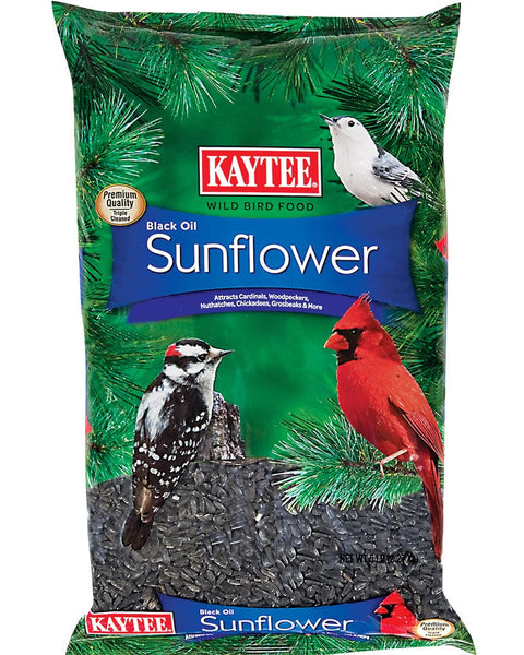 Kaytee Black Oil Sunflower Food 1ea/5 lb