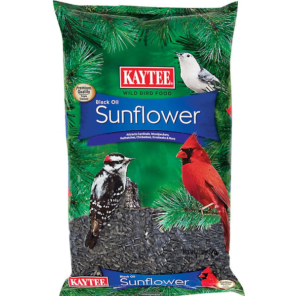 Kaytee Black Oil Sunflower Food 1ea/5 lb