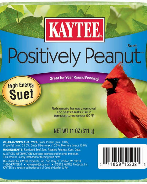 Kaytee Positively Peanut High Energy Mini Suet 1ea/11 oz