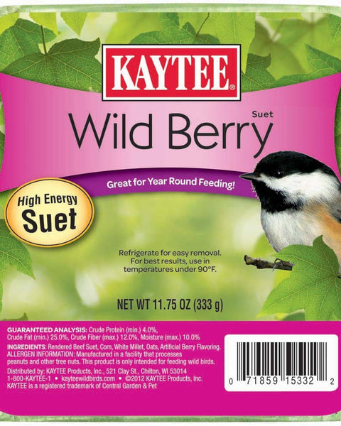 Kaytee Wild Berry High Energy Mini Suet 1ea/11.75 oz