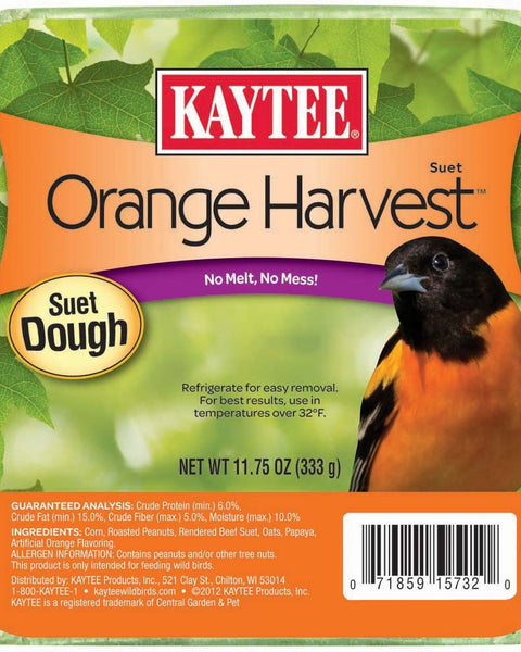 Kaytee Orange Harvest Suet Dough 1ea/11.75 oz