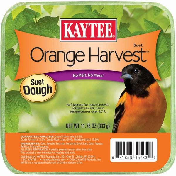 Kaytee Orange Harvest Suet Dough 1ea/11.75 oz