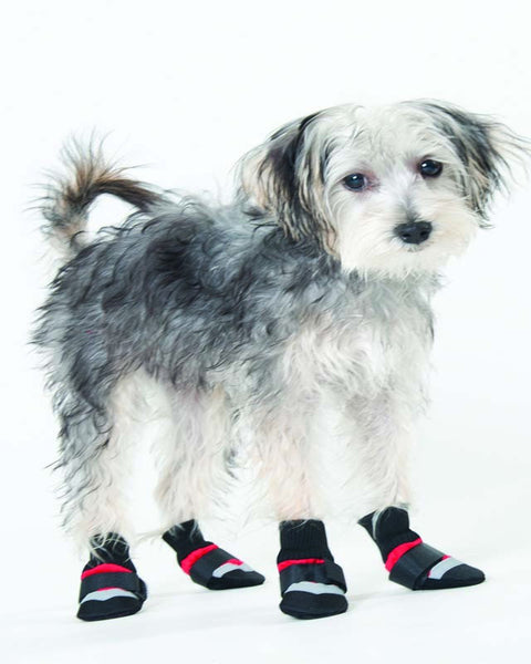 Fashion Pet Extreme All Weather Boots Red/Black 1ea/XXxs