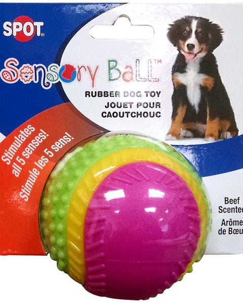 Spot Sensory Ball Dog toy Assorted 1ea/3.25 in, MD