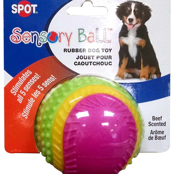 Spot Sensory Ball Dog toy Assorted 1ea/3.25 in, MD