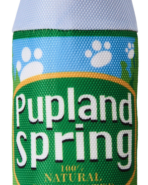 Spot Fun Drink Pupland Springs Dog Toy Green 1ea/11 in