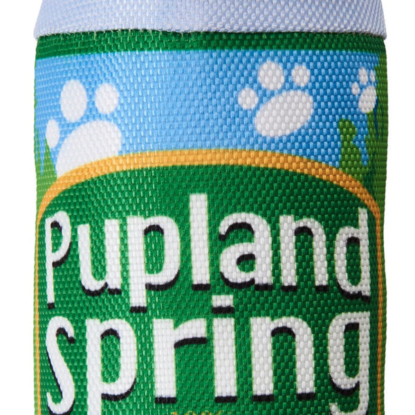 Spot Fun Drink Pupland Springs Dog Toy Green 1ea/11 in