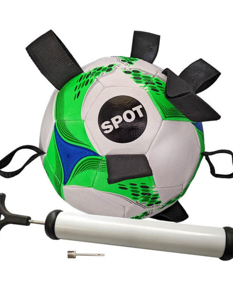 Spot Tabbie Dog Toy Soccer Ball, 1ea/One Size