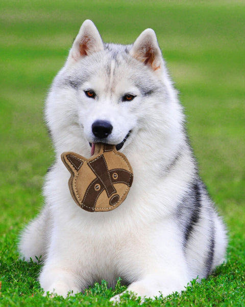 Ethical Pet 5" Dura-Fused Chunkies Raccoon