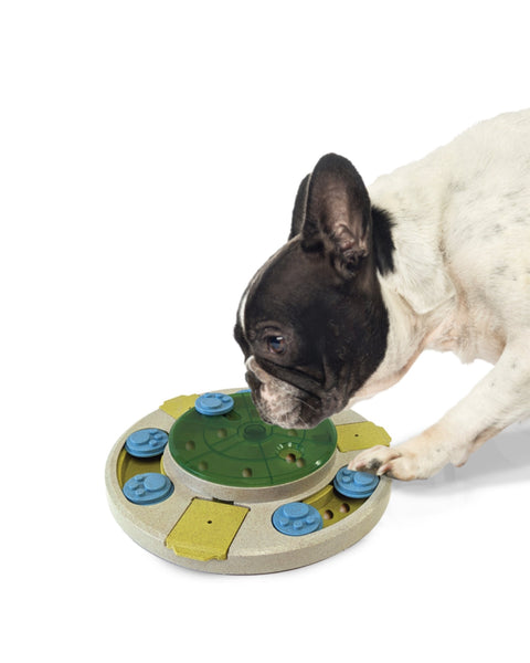 Ethical Pet Seek-a-Treat Spinner Puzzle