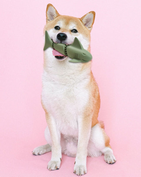 Ethical Pet Love the Earth Shark 7" Assorted