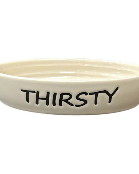 Spot Thirsty Oval Cat Bowl Tan 6 In