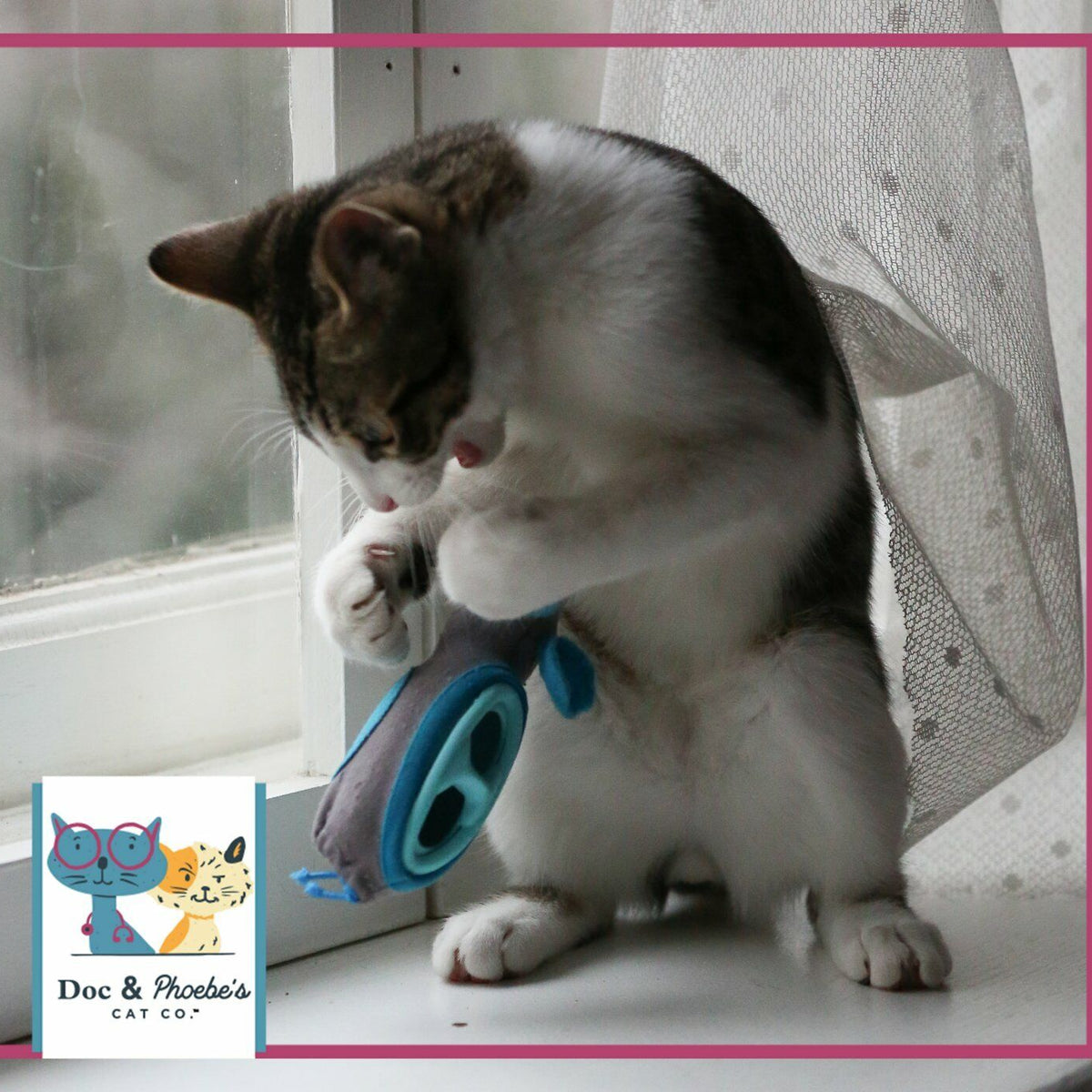 Doc and Phoebe The Hunting Snacker Cat Feeder Black-Blue 3.5in