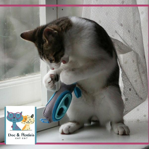Doc & Phoebe Indoor Hunting Cat Feeder Blue, Gray 1ea/3 pk