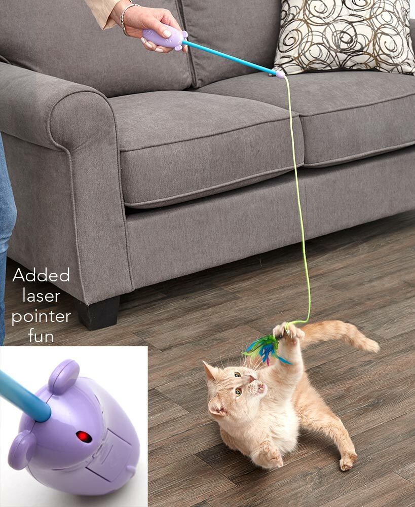 Spot Laser and Feather Teaser Wand Cat Toy Assorted 12 in