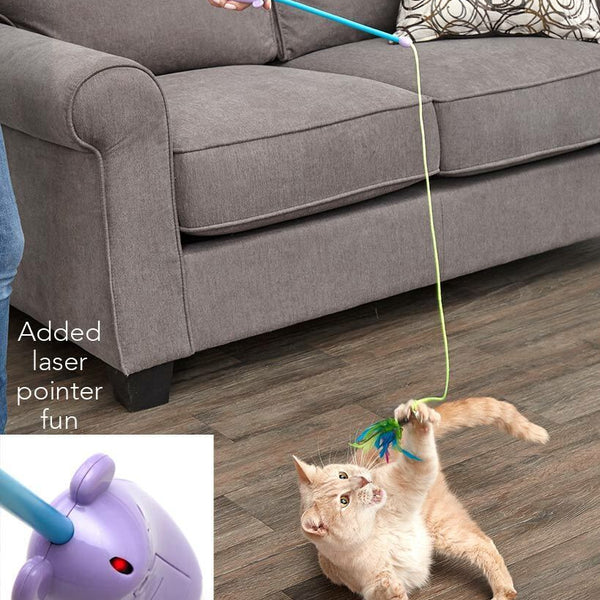 Spot Laser and Feather Teaser Wand Cat Toy Assorted 12 in