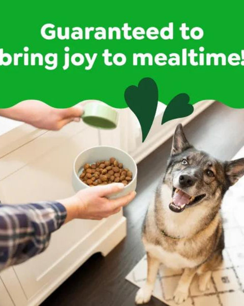 Greenies Smart Essentials Large Breed Dry Dog Food Chicken & Rice, 1ea/15 lb