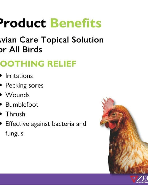 Zymox Avian Care Topical Solution 1ea/1.25 oz