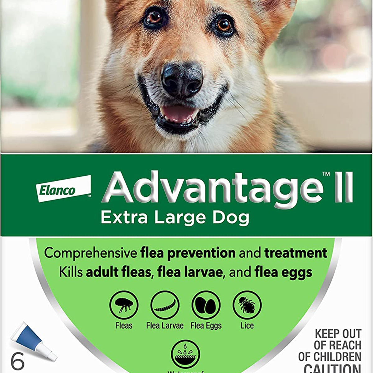 Advantage Ii Dog Extra Large Blue 6-Pack