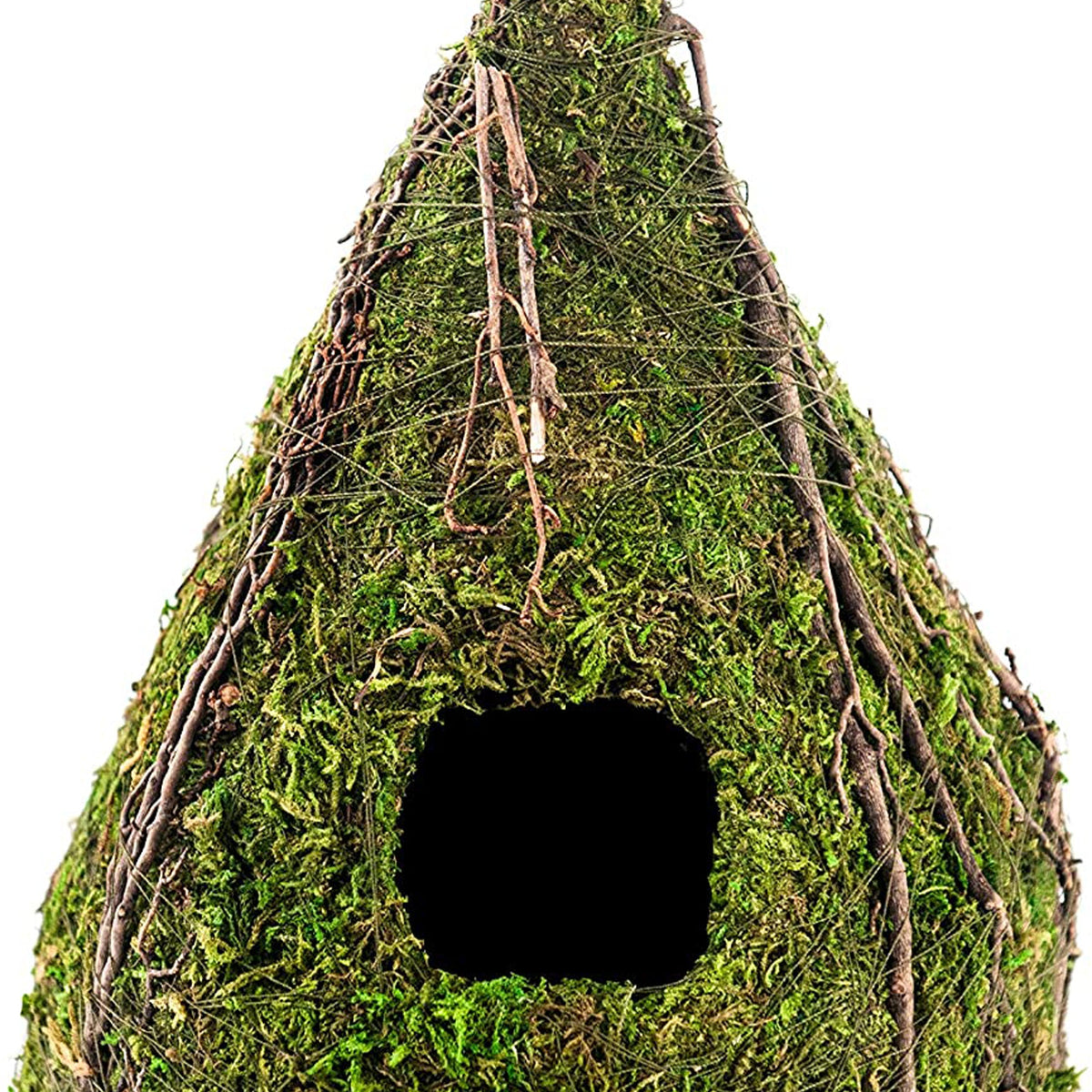 Galapagos Raindrop Deco Birdhouse Fresh Green 1ea/6Inx10 in