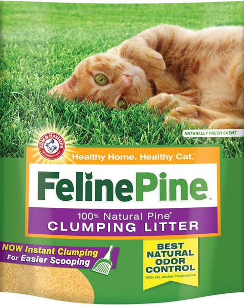 Arm & Hammer Clumping Cat Litter 1ea/14 lb