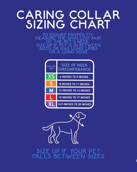 Calm Paws Caring Collar w/ Calming Disk For Dogs XSmall