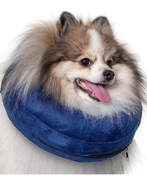 Calm Paws Basic Inflatable Collar Small