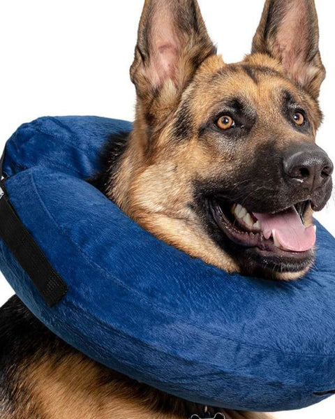Calm Paws Basic Inflatable Collar XLarge