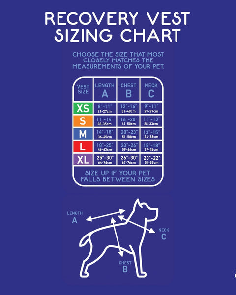 Calm Paws Calming Recovery Vest Medium