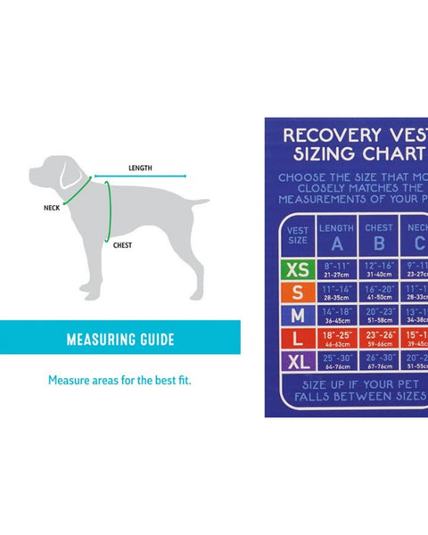 Calm Paws Calming Recovery Vest Large
