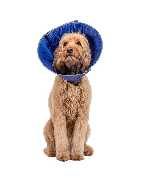 Calm Paws Caring Collar w/ Calming Disk For Dogs Large