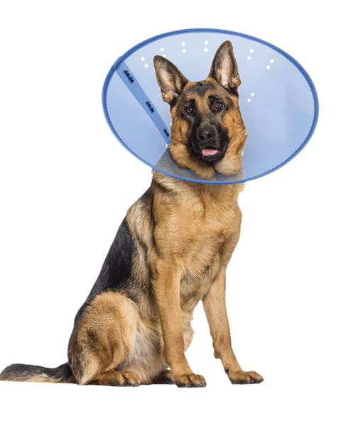 Calm Paws E-Collar Blue Large 9.5-15.5in.