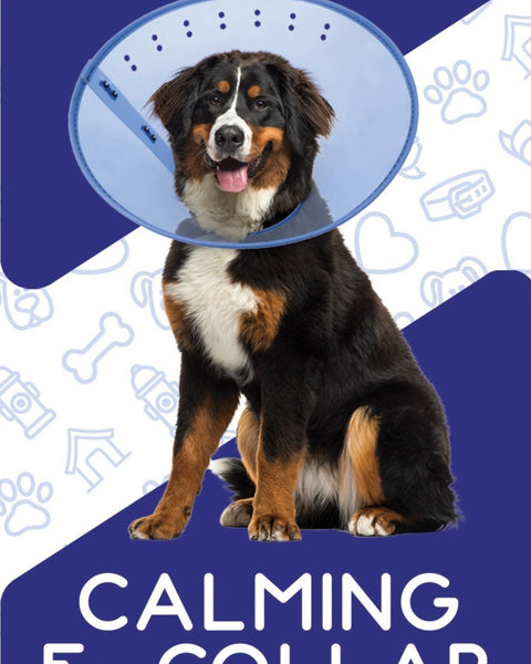 Calm Paws E-Collar Blue XXLarge 15.25-25in.
