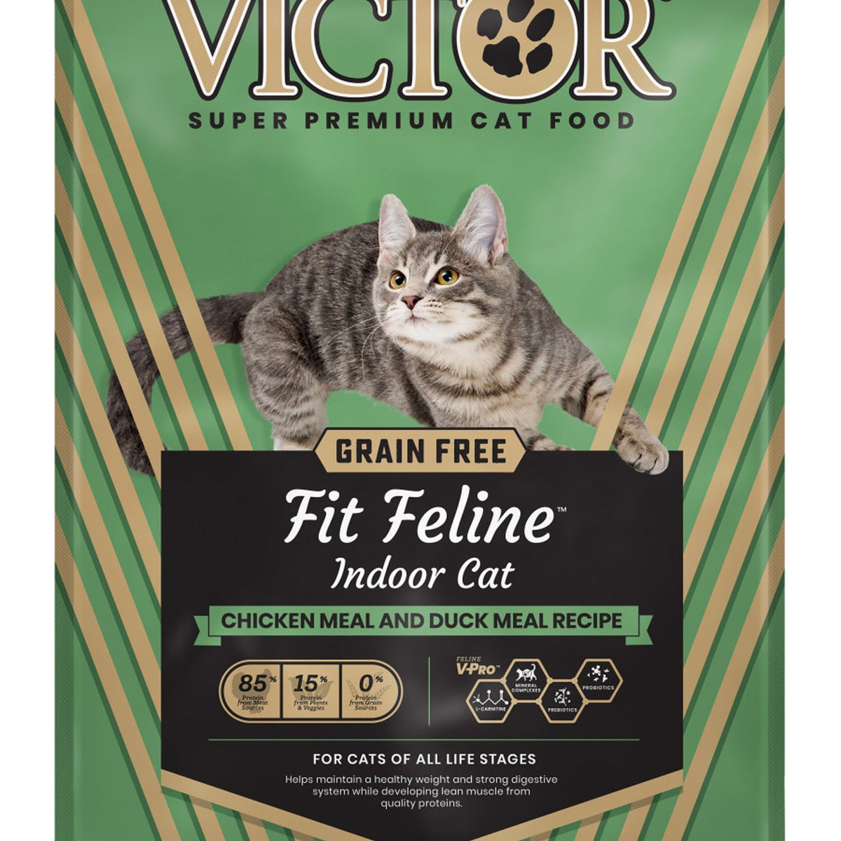 Victor Super Premium Dog Food Fit Feline Indoor Dry Cat Food Chicken & Duck 1ea/15 lb