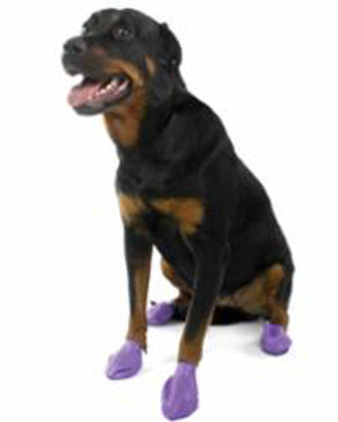 Pawz Dog Boots Large Purple