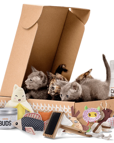 Cat Bundle